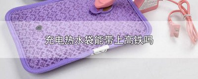​充电热水袋能不能带上高铁 热水袋充电的可以带上高铁吗