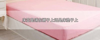 ​床褥子和床笠哪个实用 床褥子和床笠哪个舒服