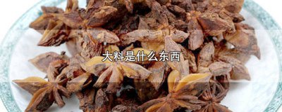 ​大料有些什么 大料是啥东西