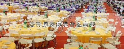 ​公司尾牙宴开场白 公司尾牙宴主题名称