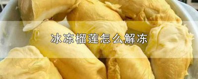 ​冰冻榴莲怎么解冻多久 冰冻榴莲怎么解冻可以用开水
