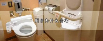 ​厕所为什么会堵