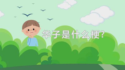 ​华子是什么梗?