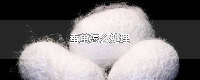​蚕茧怎么处理和使用 蚕茧怎么处理成蚕丝视频
