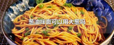 ​葱油拌面用大葱可以吗? 大葱可以做葱油拌面吗?