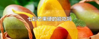​七彩芒果硬的能吃吗有毒吗图片 七彩芒果硬的能吃吗有毒吗能吃吗