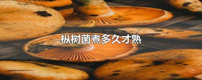 ​鸡枞菌煮多久能熟 枞树菌怎么煮
