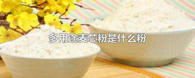 ​金龙鱼麦芯粉的价格50斤 金龙鱼多用途麦芯粉25公斤价格
