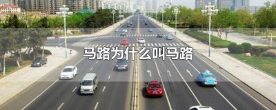 ​马路为什么叫马路土味情话 马路为什么叫马路不叫人路冷知识