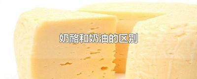 ​奶酪和奶油的区别在哪里 奶酪和奶油有什么区别