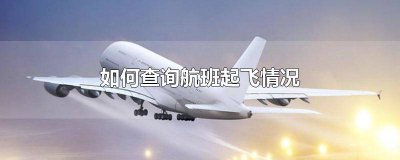 ​如何查询航班起飞情况电话 如何查询航班起飞情况最新