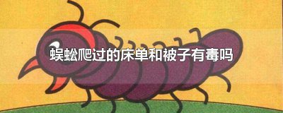 ​床上出现类似蜈蚣的虫子 床上有类似蜈蚣的虫子的都叫什么名字
