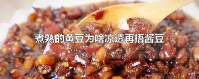 ​怎样在家自制黄豆酱 老式黄豆酱的制作过程