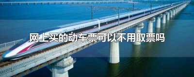 ​坐动车网上买了票可以不去取票吗 网上买的高铁票可以不用取票吗