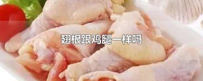 ​鸡腿跟翅根的区别 翅根和鸡腿的区别