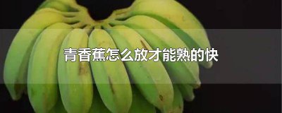 ​青香蕉怎么快速熟 青香蕉怎样放熟