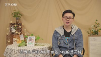 ​甲鱼鱼吃什么食物 甲鱼都吃什么食物?