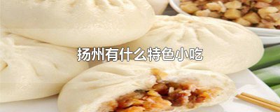 ​扬州小吃有哪些好吃的 扬州小吃有哪些特产