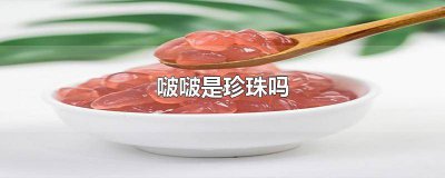 ​……的珍珠 啵啵和珍珠什么区别