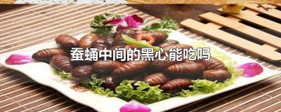 ​蚕蛹中间的黑心能吃吗图片 蚕蛹中间的黑心可以吃吗