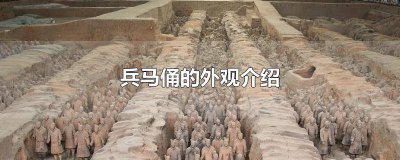​兵马俑的外貌介绍 兵马俑的外观和构造