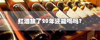 ​红酒放十年还能不能喝 红酒放十年可以喝吗