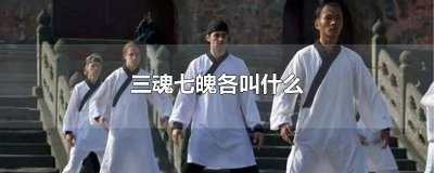 ​三魂七魄指的是啥生肖 七魂三魄是指什么