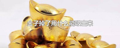 ​金子掉了用,什么方法早 什么物质能把金吸起来