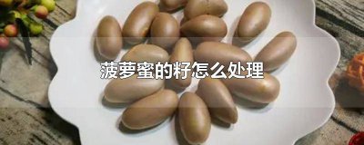 ​菠萝蜜的籽怎么处理好吃 菠萝蜜的籽如何处理