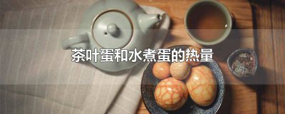 ​茶叶蛋和煮鸡蛋哪个热量高 茶叶蛋和水煮蛋哪个热量高一点