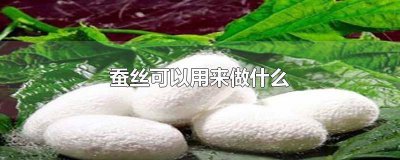 ​药材蚕丝功效与作用 蚕丝有药用价值吗