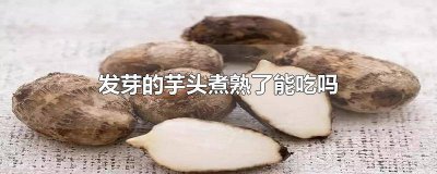 ​芋头发了芽还可以吃吗 芋头发芽了可以吃吗?
