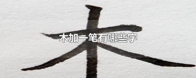 ​木加一笔有哪些字5个 木加一笔有哪些字 公务员