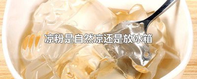 ​凉粉放常温还是放冰箱保存 凉粉放冰箱是冷藏还是冷冻