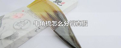 ​如何辨别牛角梳的真假? 如何辨别牛角梳的真假图解