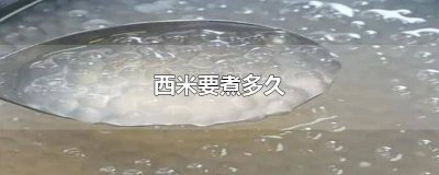 ​西米要煮多久时间 西米应该煮多久