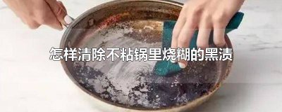​怎样清除不粘锅里烧糊的黑渍 怎样清除不粘锅里烧糊的黑渍知乎