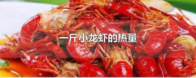 ​一百克小龙虾的热量 一个小龙虾多少热量