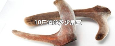 ​10斤酒放多少鹿茸片 10斤酒放多少鹿茸鹿鞭泡酒
