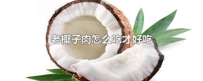 ​老椰子肉的吃法大全图片 老椰子肉的吃法大全图解