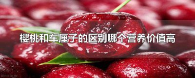 ​车厘子和樱桃营养价值一样吗 樱桃和车厘子营养价值有区别吗