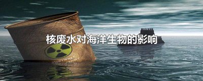 ​核废水对海洋生态的影响 核废水处理水对海洋生态环境的影响