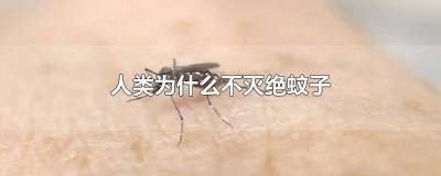 ​为什么人类灭绝不了蚊子 人类为什么灭绝不了蚊子