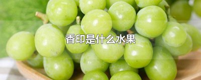 ​香印是什么牌子 香印百度百科