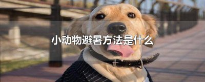 ​小动物避暑的方法是什么 小动物的避暑方法有什么