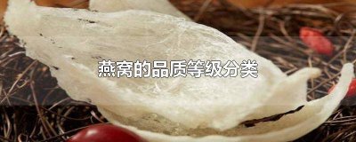 ​燕窝有什么等级 燕窝分成什么等级