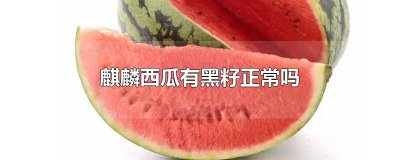 ​麒麟瓜有黑籽还是麒麟瓜吗图片 麒麟瓜有黑籽还是麒麟瓜吗好吃