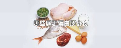 ​啥食物属于蛋白质 属于蛋白质的食物