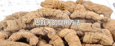 ​巴戟天的食用方法 巴戟天的食用方法疗程