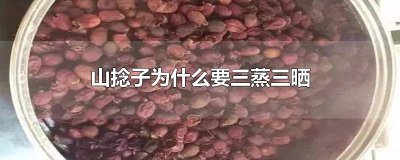 ​捻子干怎么做 捻子要蒸多久